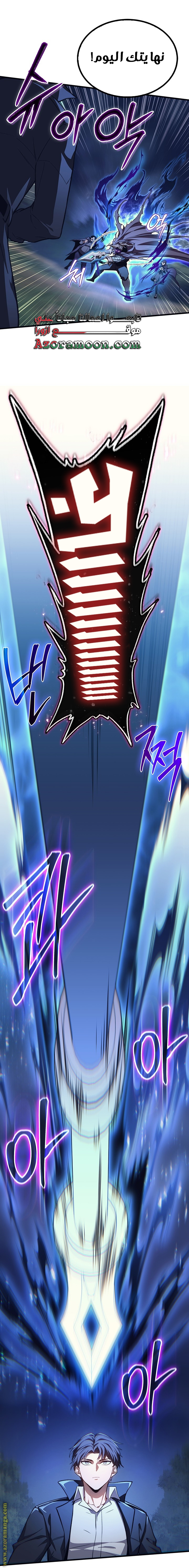 الصفحة 13