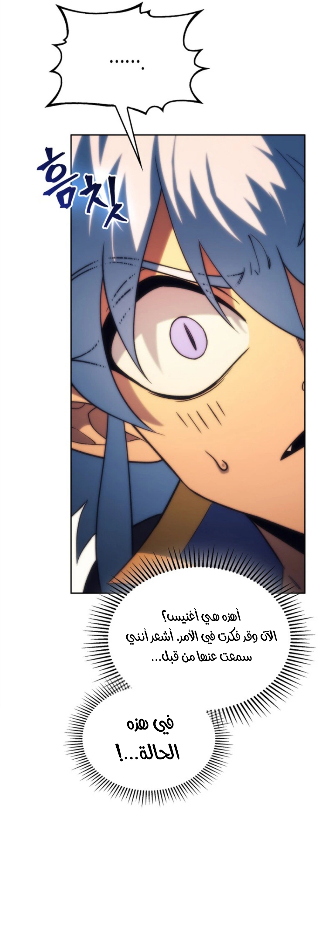 الصفحة 24