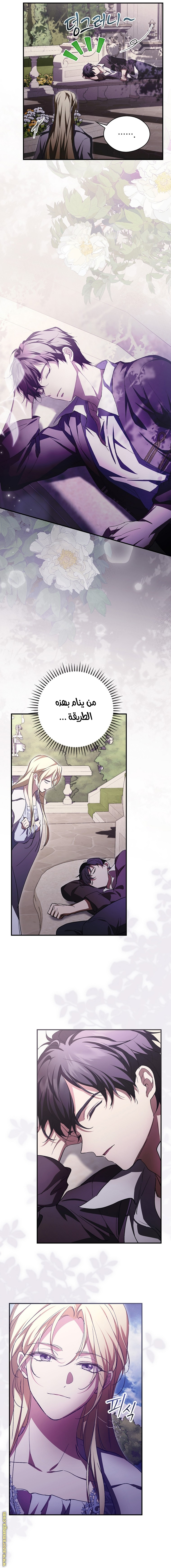 الصفحة 14