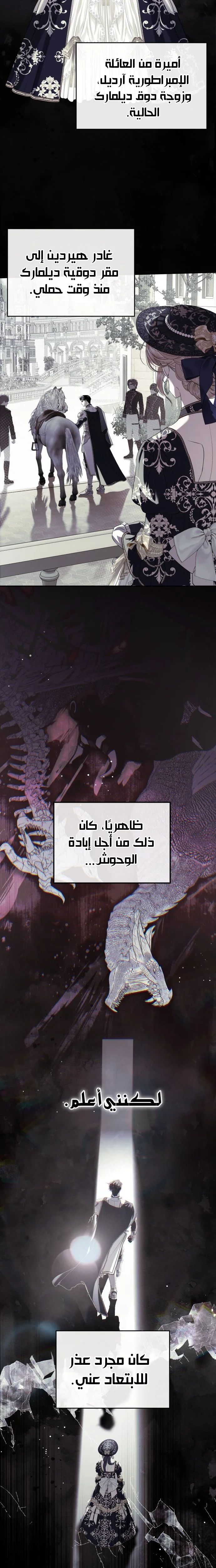 الصفحة 25