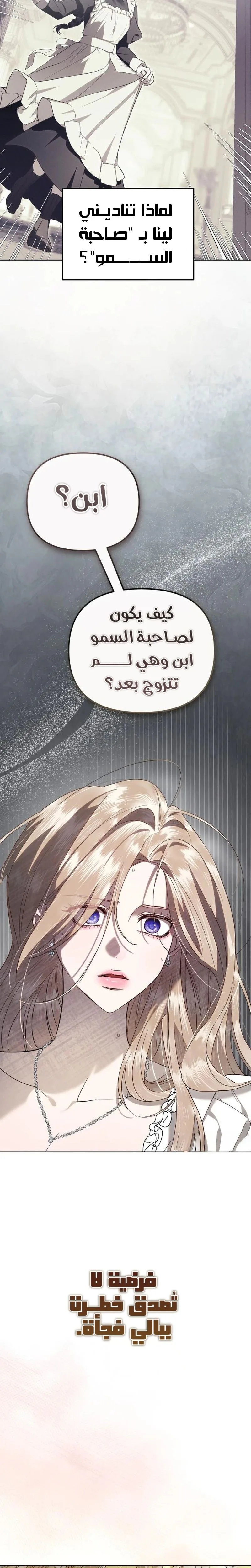 الصفحة 19