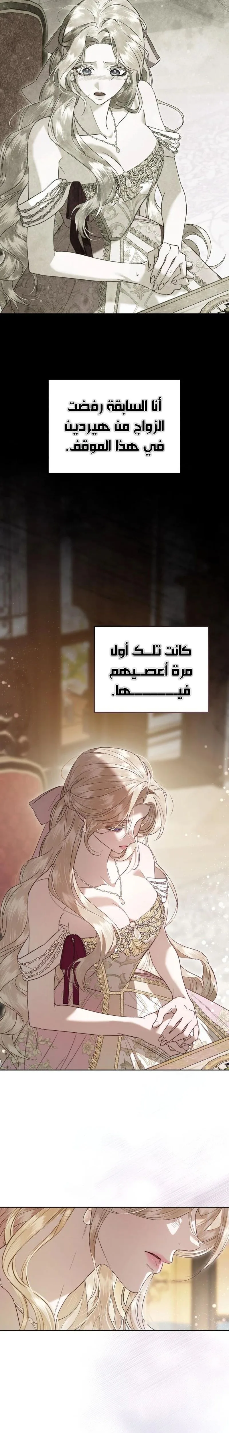 الصفحة 28