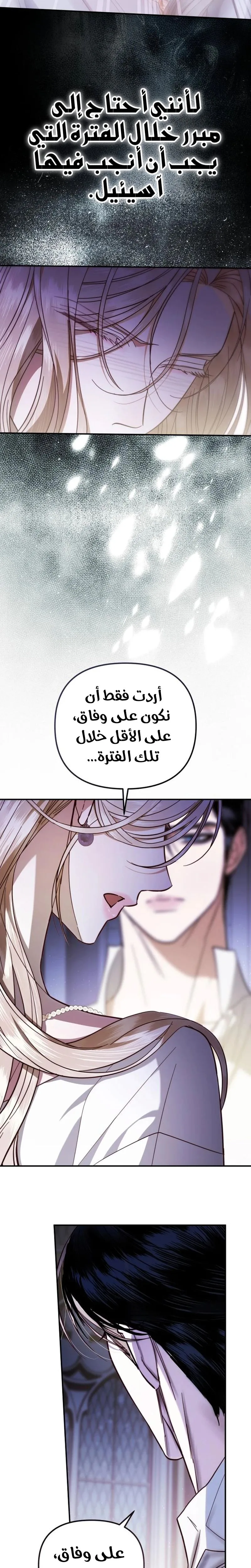 الصفحة 29