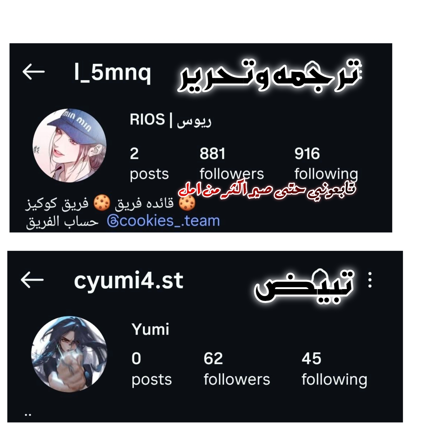الصفحة 10