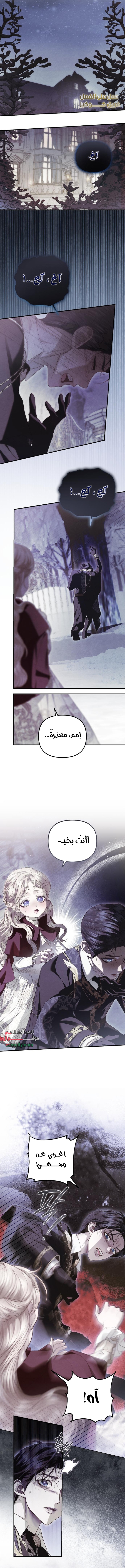 الصفحة 5