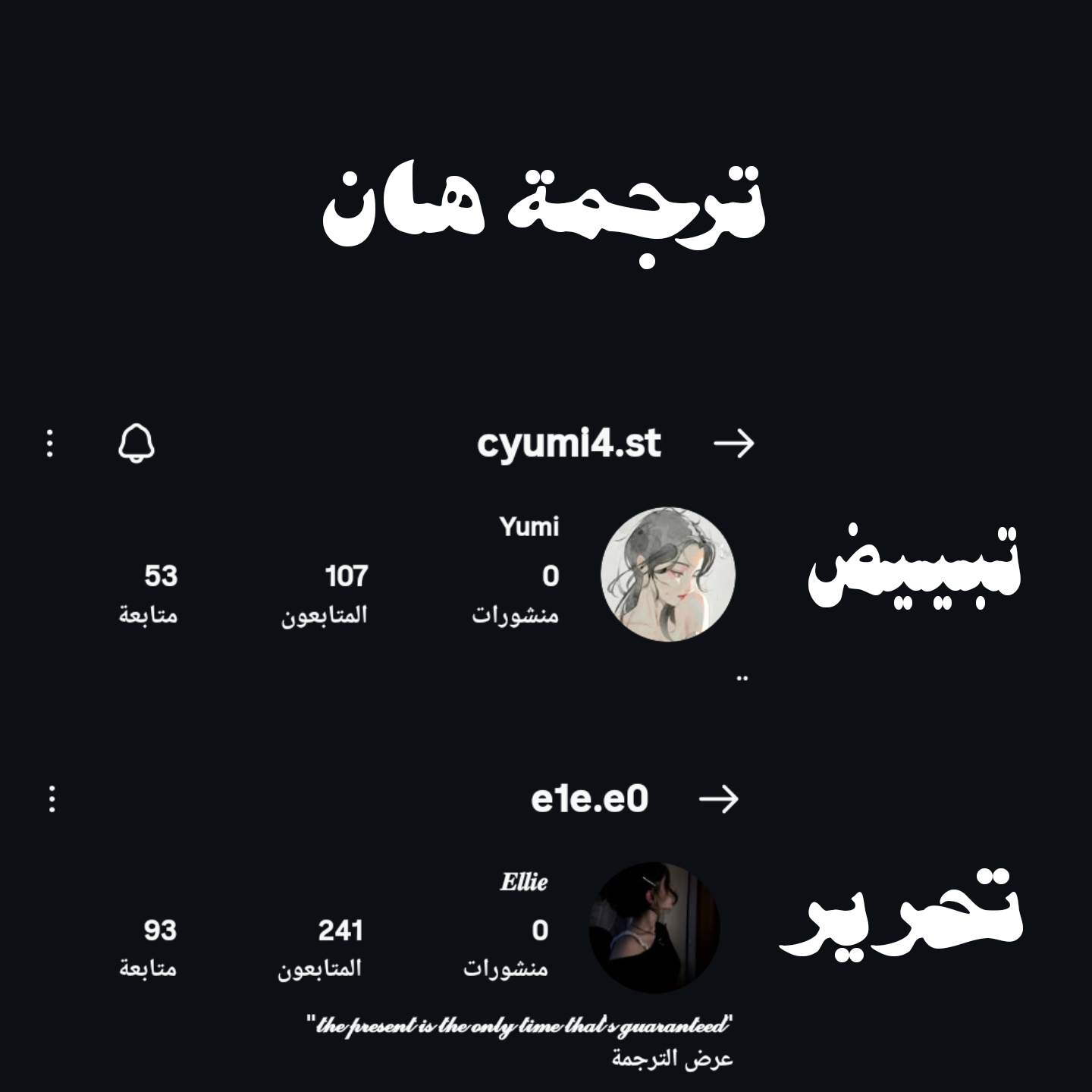 الصفحة 11