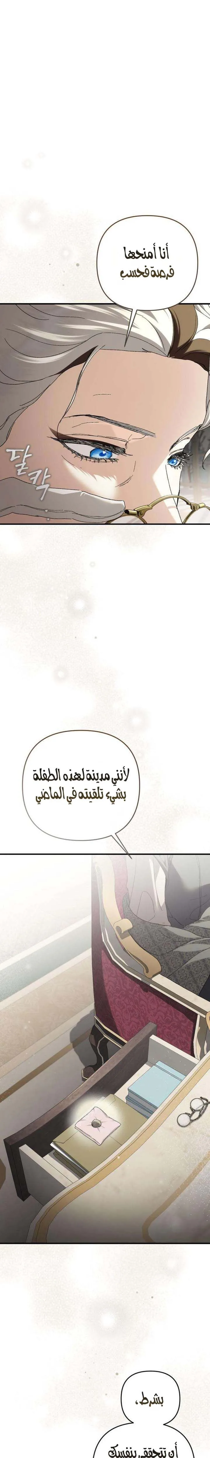 الصفحة 28