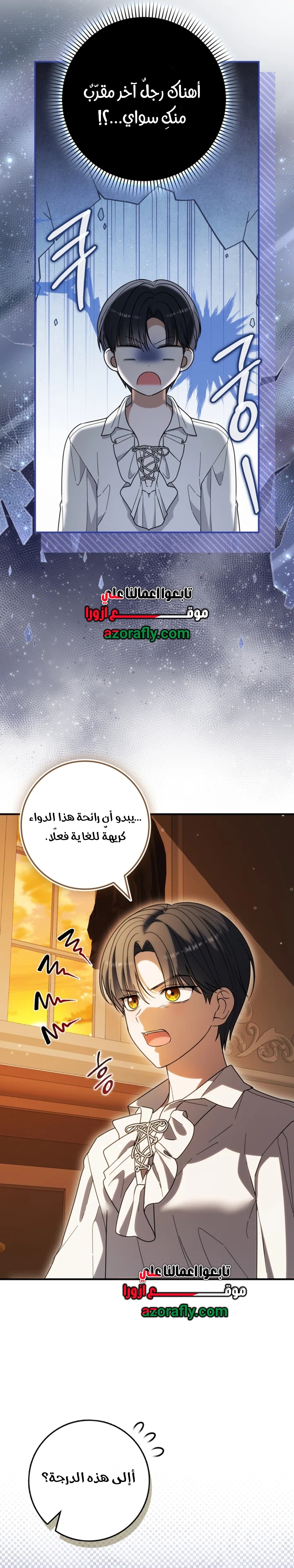 الصفحة 27