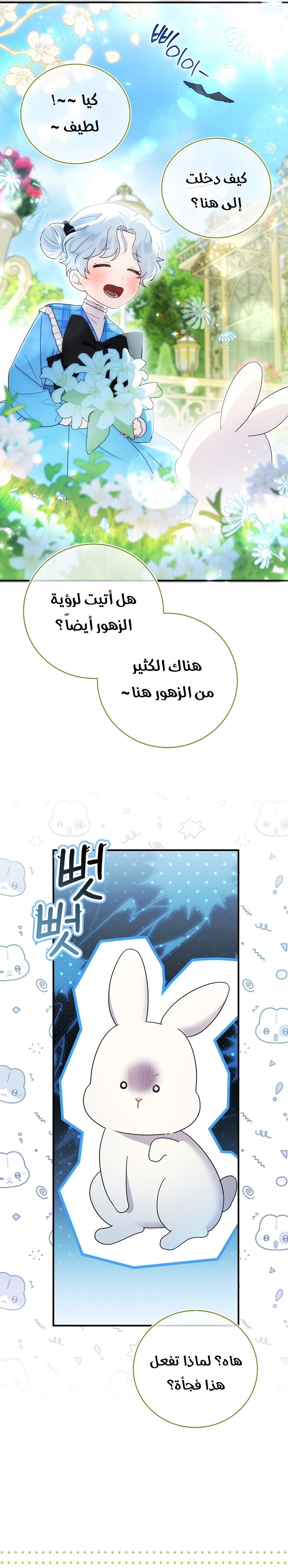 الصفحة 20