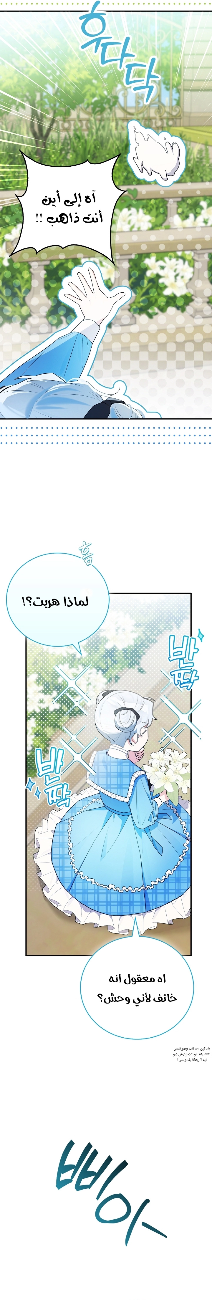 الصفحة 21