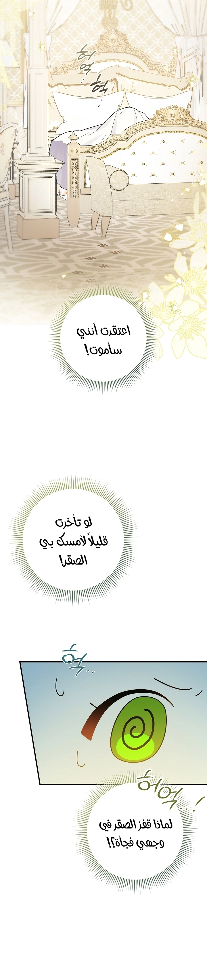 الصفحة 25