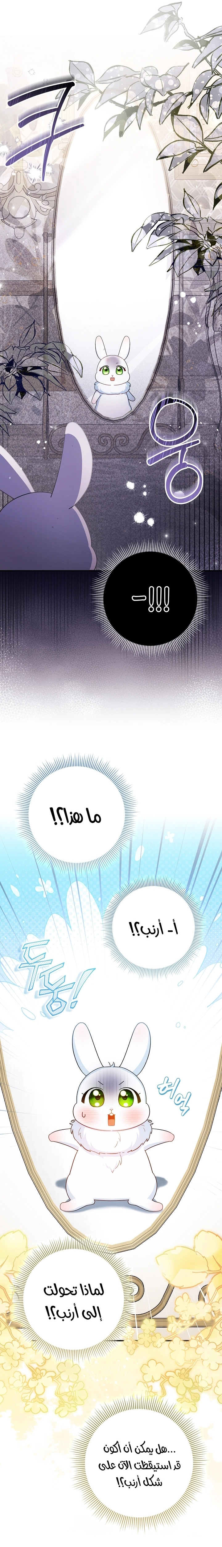 الصفحة 27