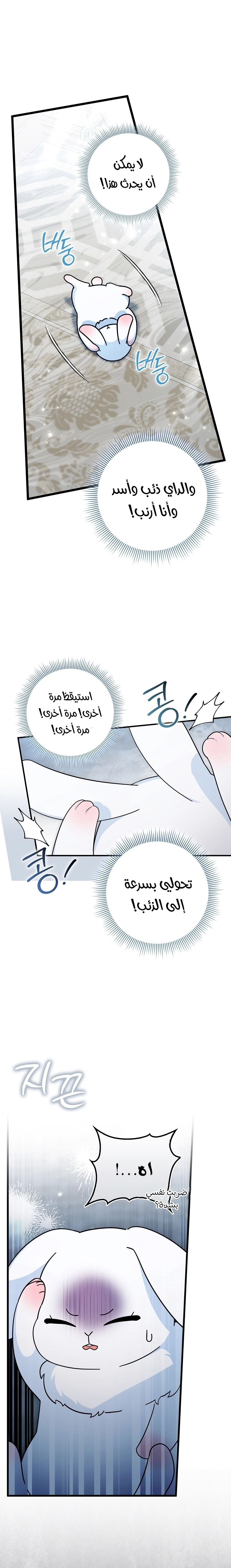 الصفحة 28