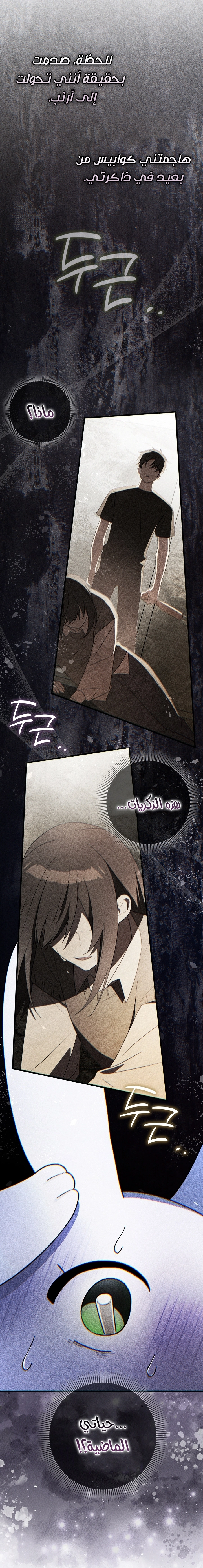 الصفحة 29