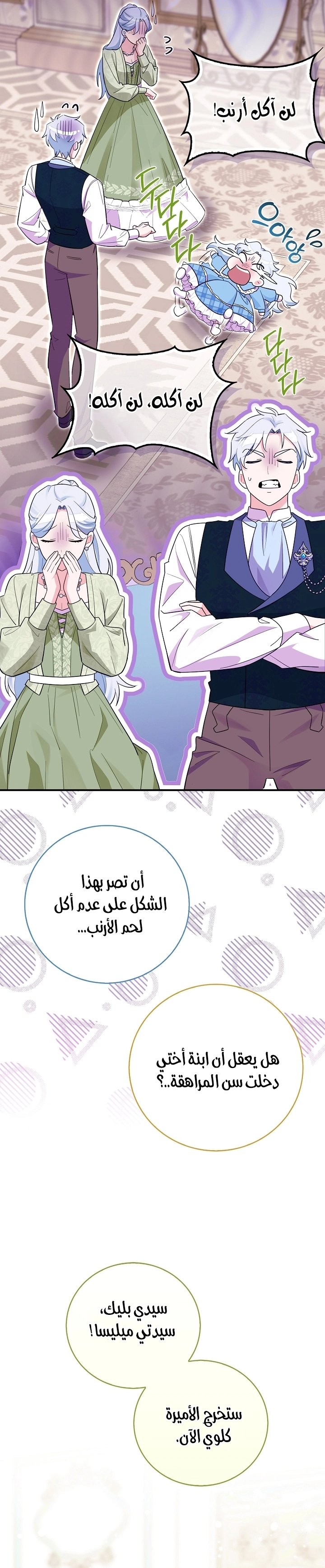 الصفحة 13