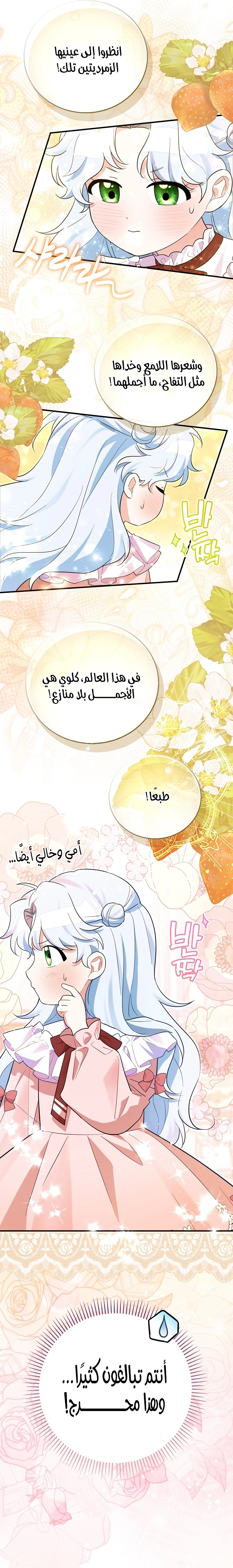 الصفحة 16