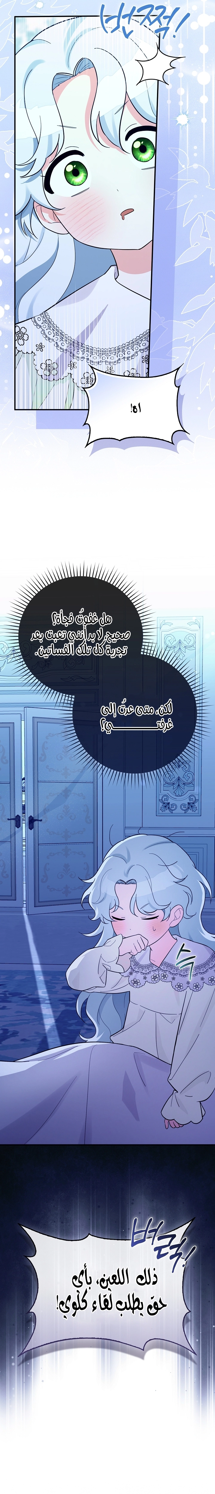 الصفحة 21
