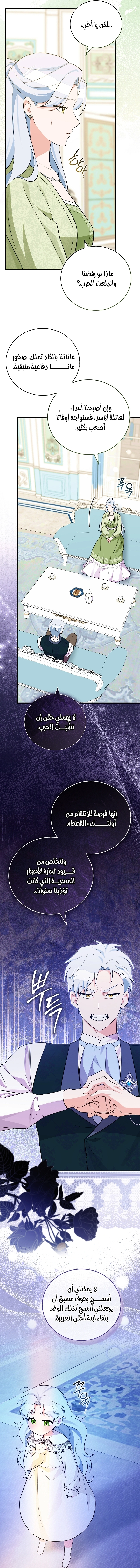 الصفحة 25