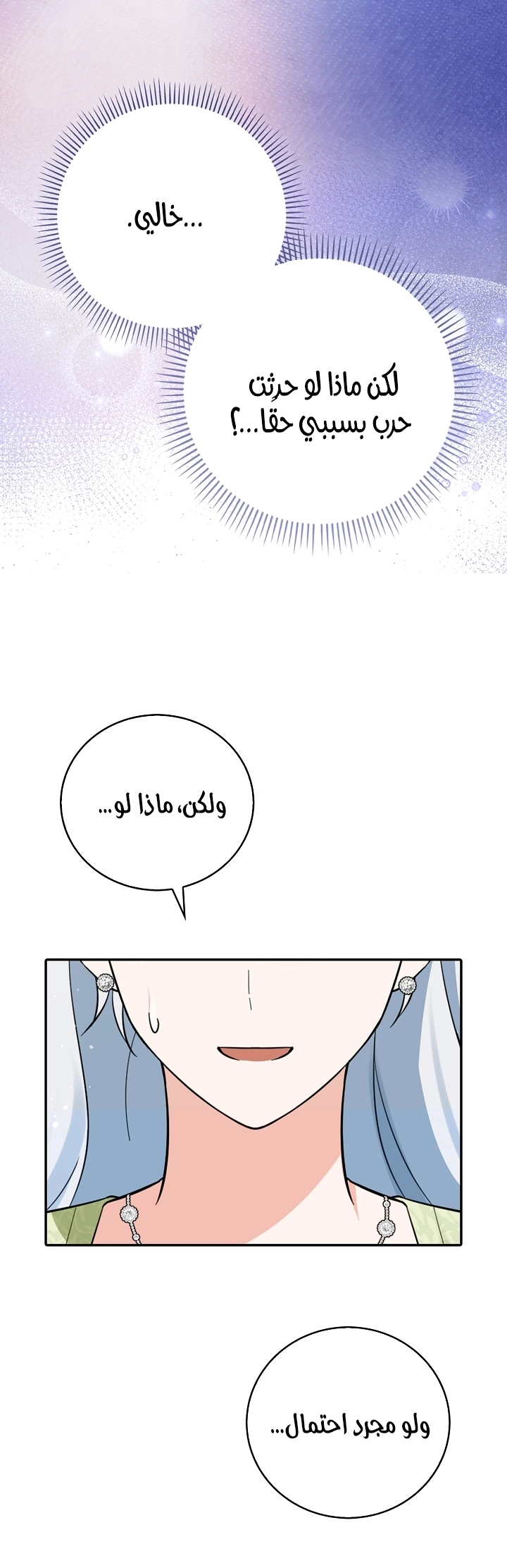 الصفحة 26