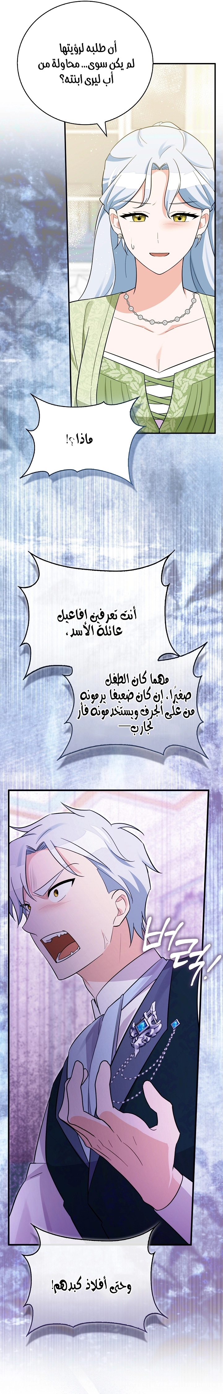 الصفحة 27
