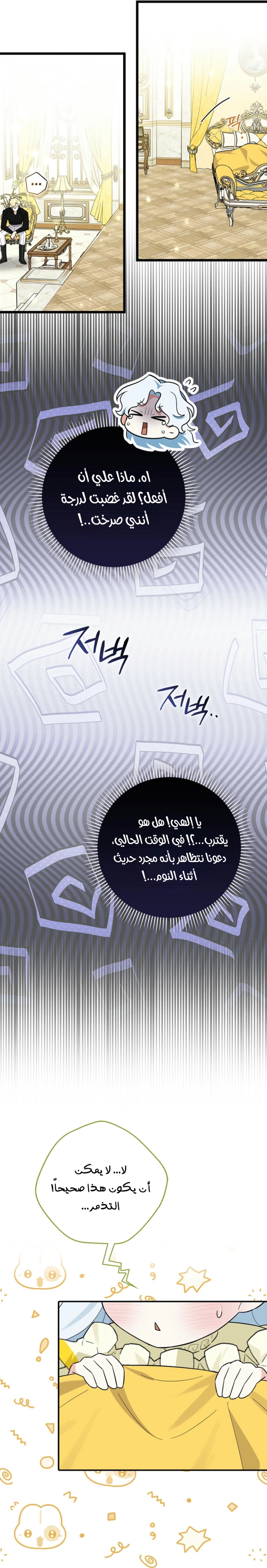 الصفحة 16