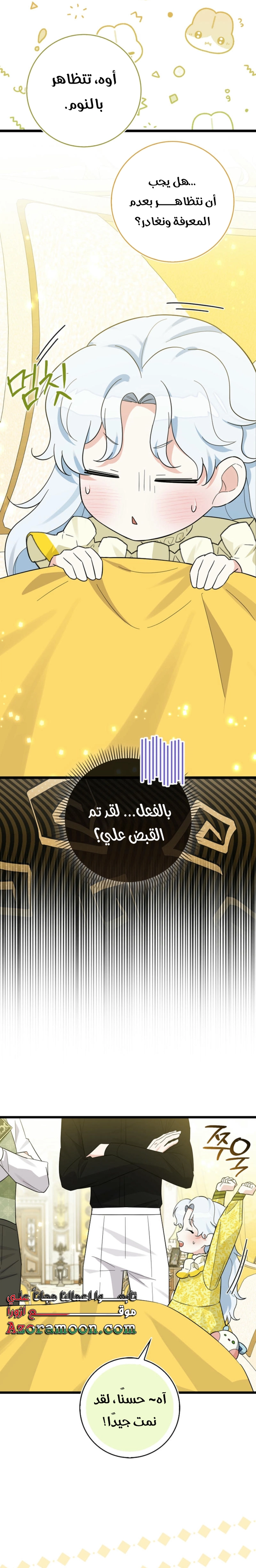 الصفحة 17