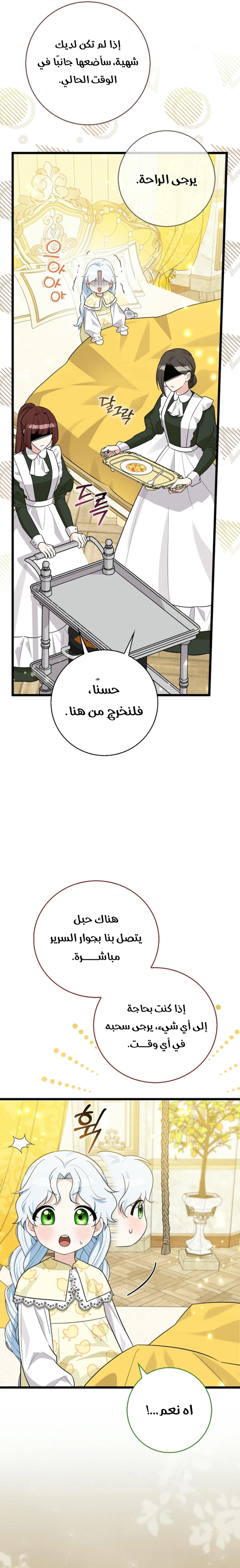 الصفحة 29