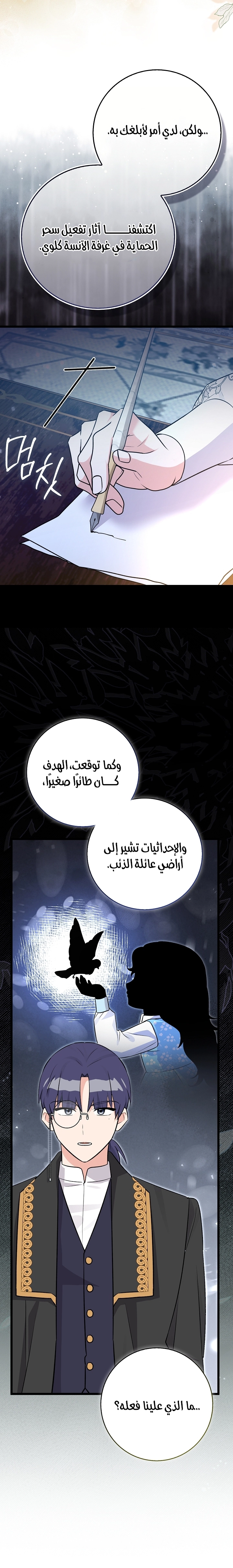 الصفحة 26