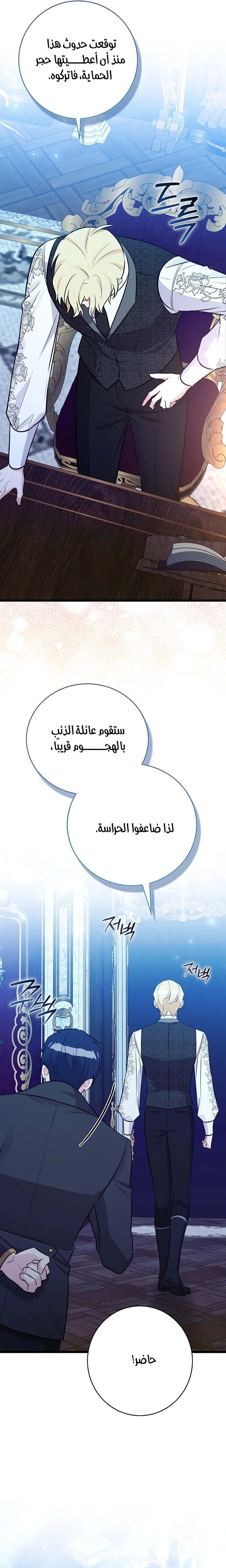 الصفحة 27