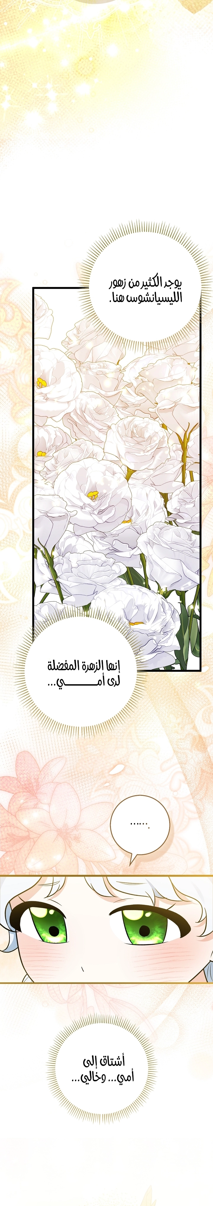 الصفحة 22