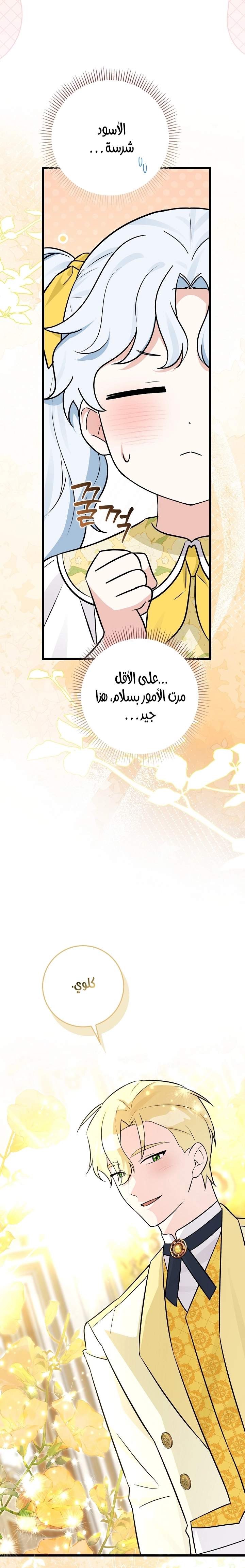 الصفحة 30