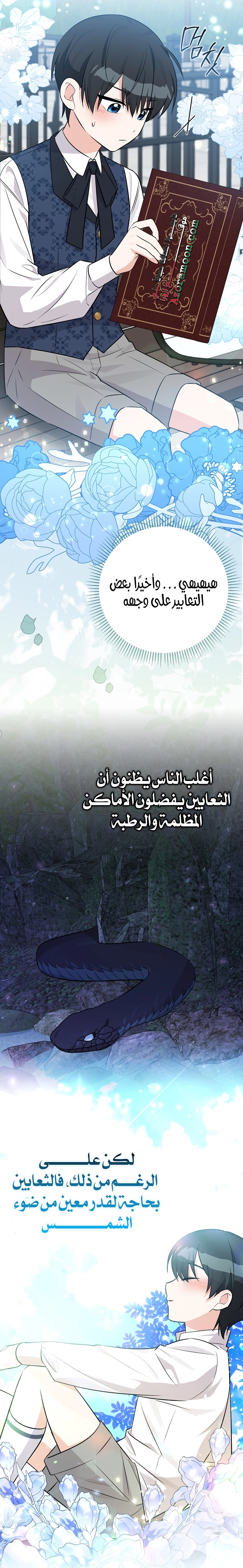 الصفحة 27