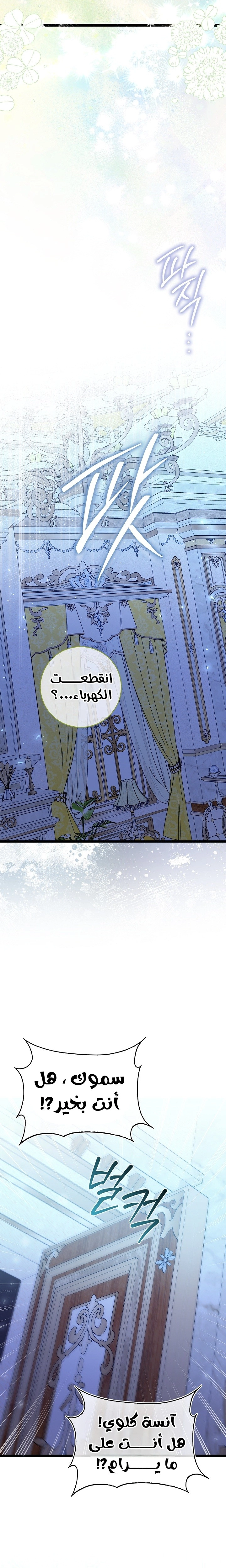 الصفحة 17