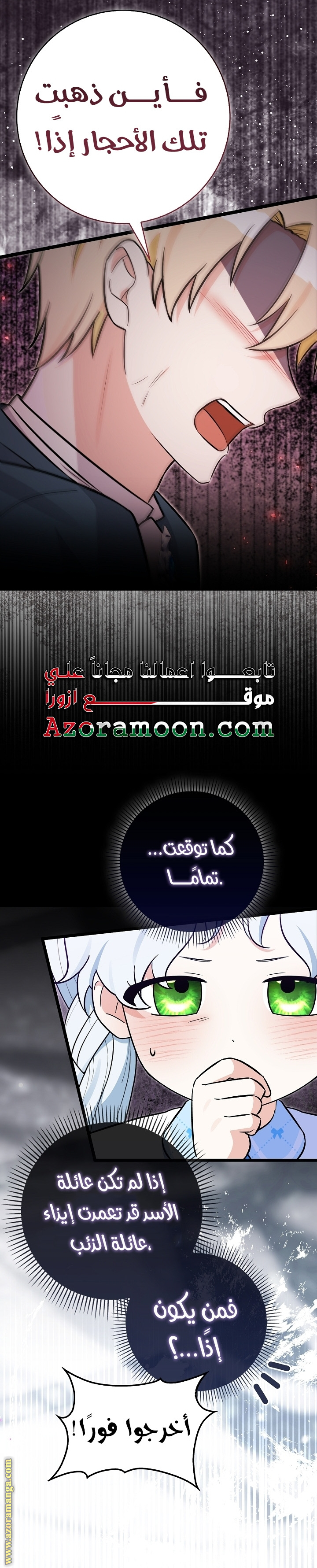 الصفحة 29
