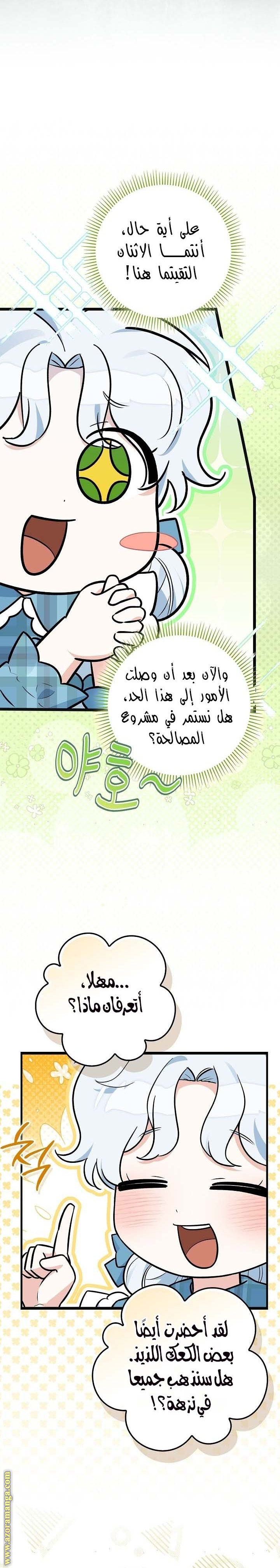 الصفحة 13