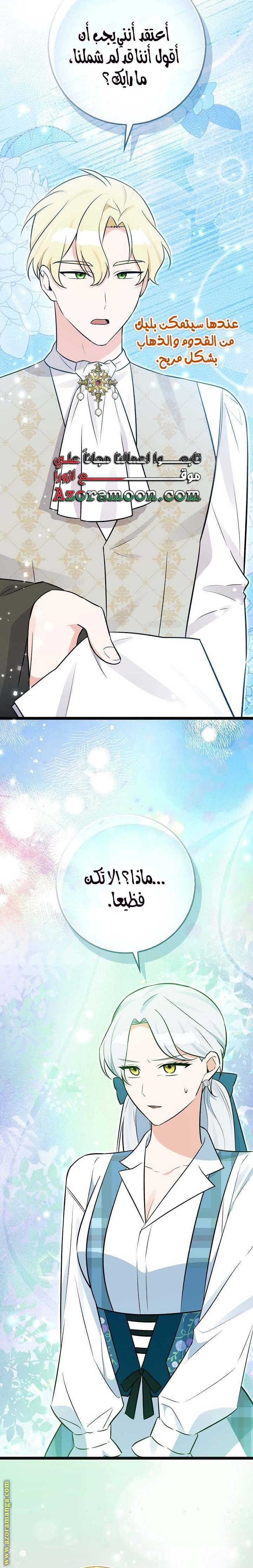 الصفحة 17