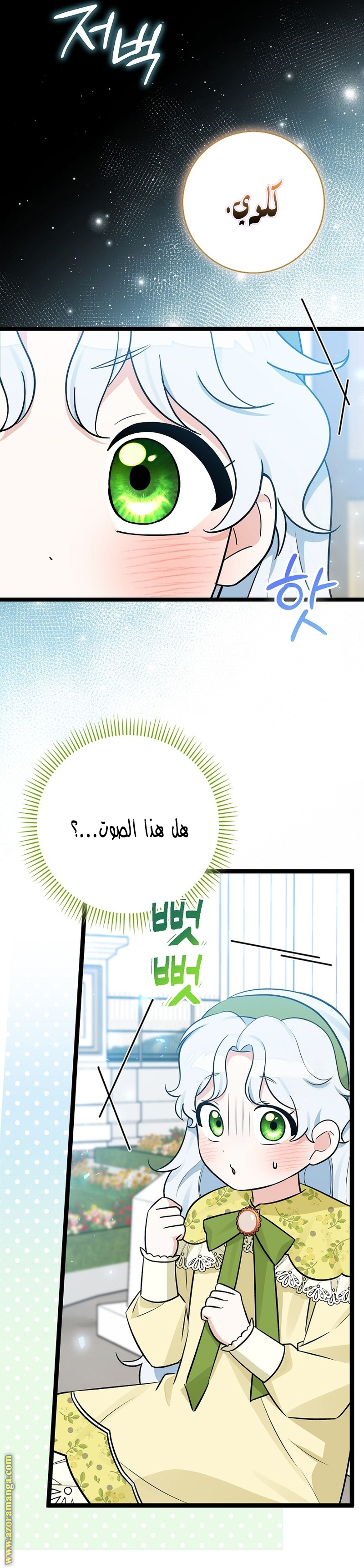 الصفحة 11