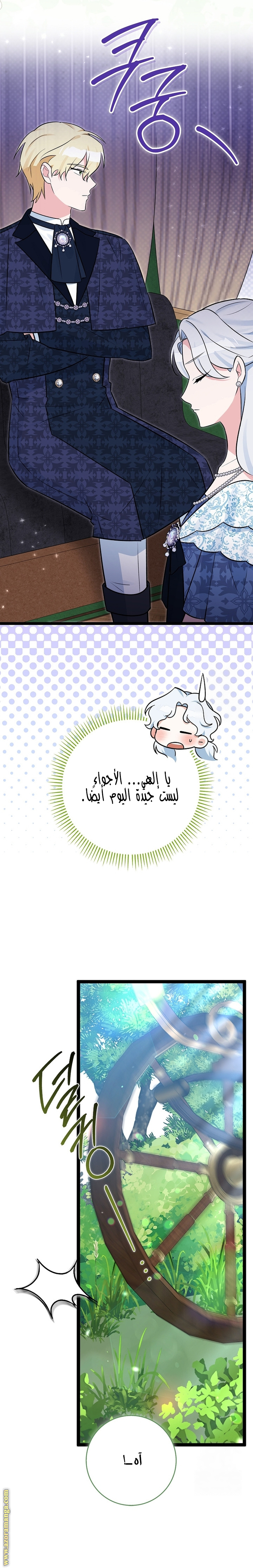 الصفحة 25