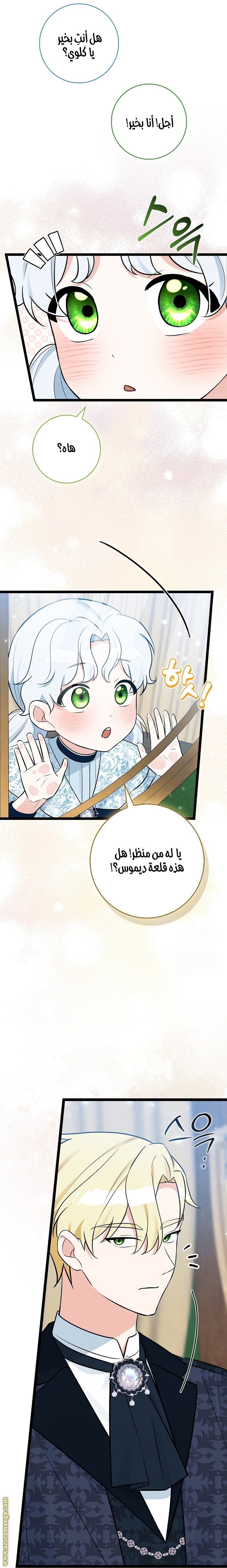 الصفحة 26