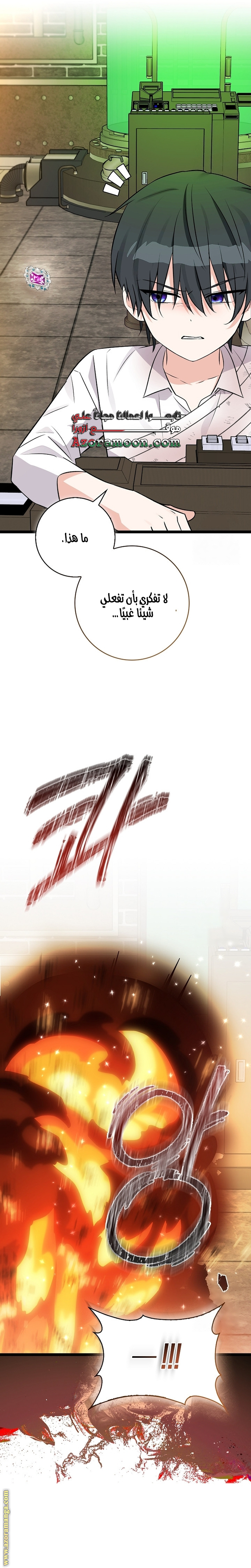 الصفحة 13