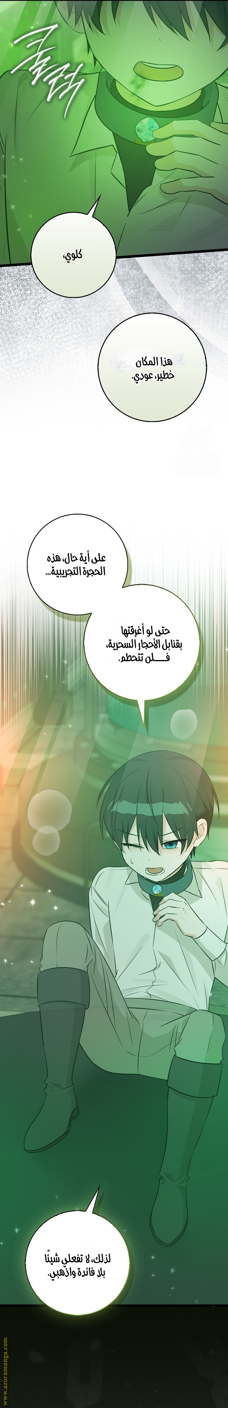 الصفحة 21