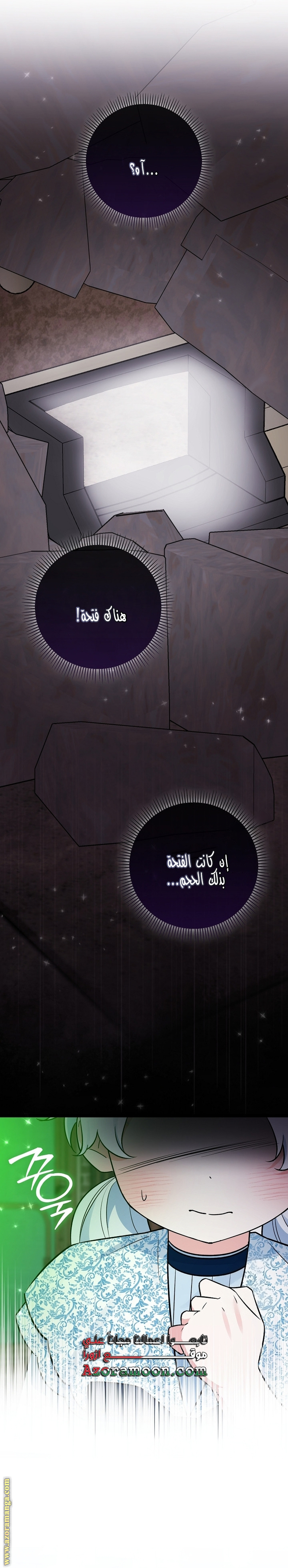 الصفحة 29