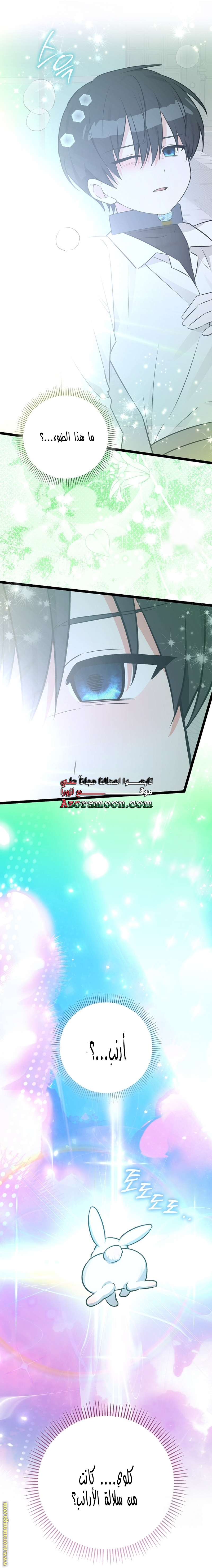 الصفحة 31