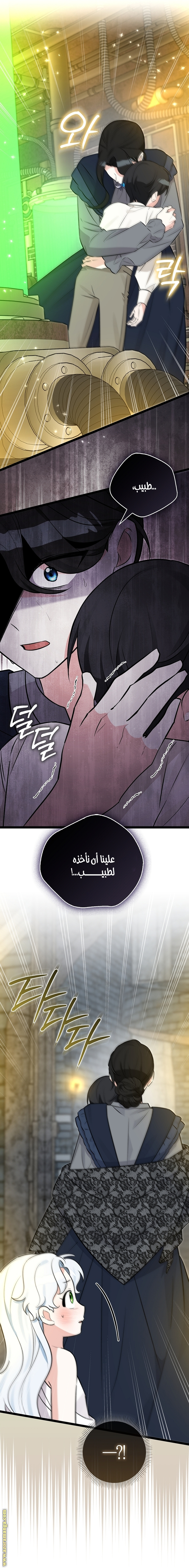 الصفحة 11