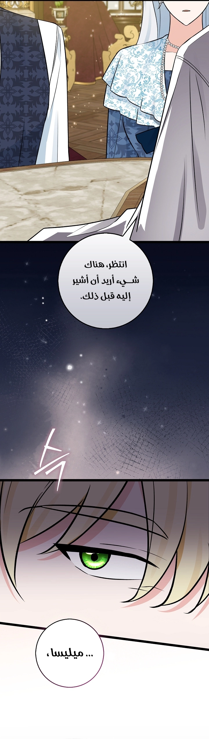 الصفحة 17