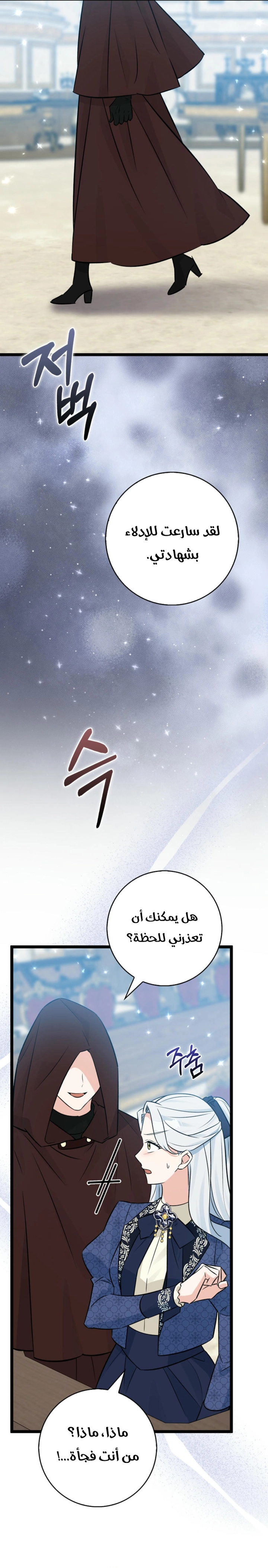 الصفحة 22