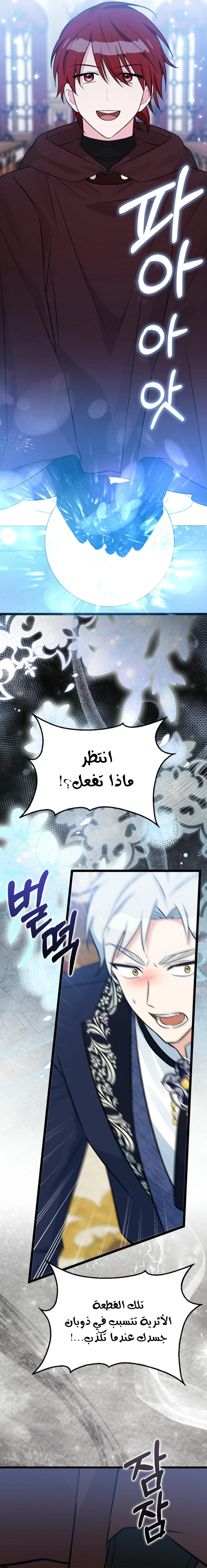 الصفحة 24