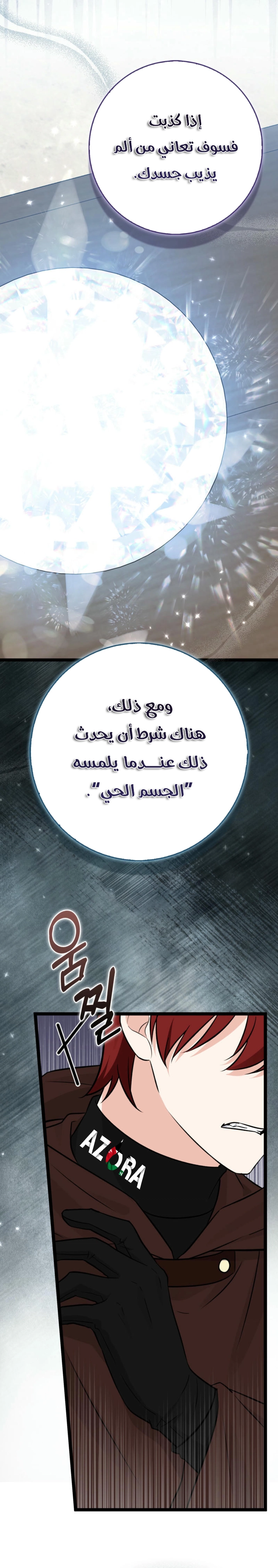 الصفحة 15