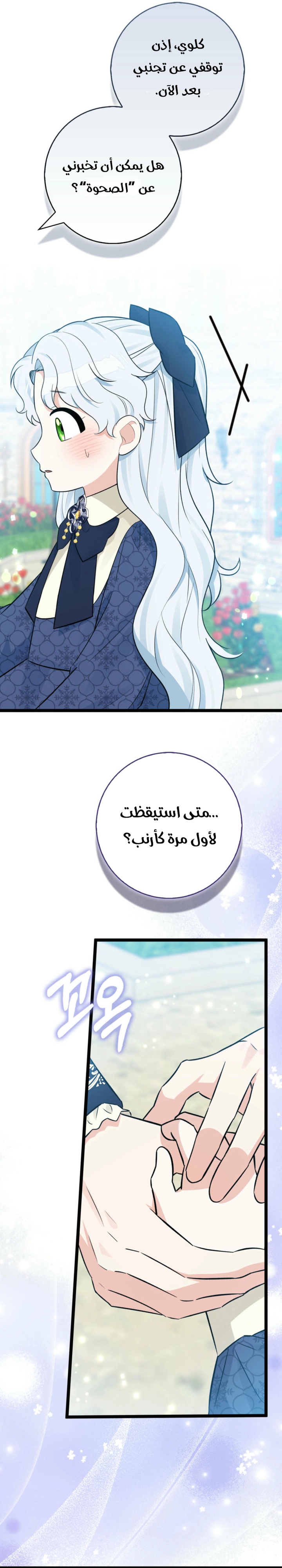 الصفحة 25