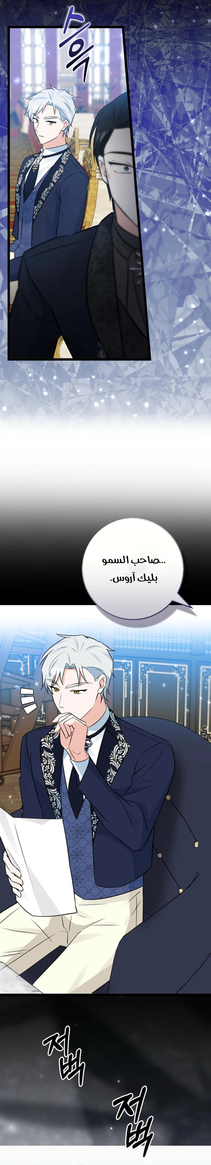 الصفحة 14